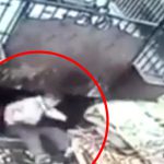 【衝撃?像】ゴミを圧縮する機械に巻き込まれて死ん?作業員･･･。