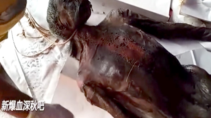 【閲覧注意】首吊り自殺した男性、何日も発見されず半ミイラ化してしまう･･･。