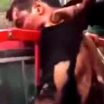 【閲覧注意】上半身がちぎられたような状態で死んだ男のグロ動画･･･。