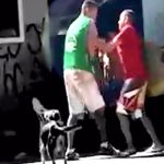 痴漢した男、ナイフで刺されて殺されてしまう･･･。