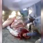 【閲覧注意】シーア派にナイフで首を刺されまくるスンニ派の兵士。