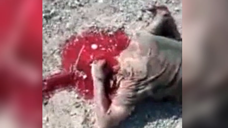 【閲覧注意】爆弾で頭を吹き飛ばされてしまった兵士･･･。