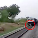 【衝撃映像】走行する列車に飛び込んで自殺する女の子。