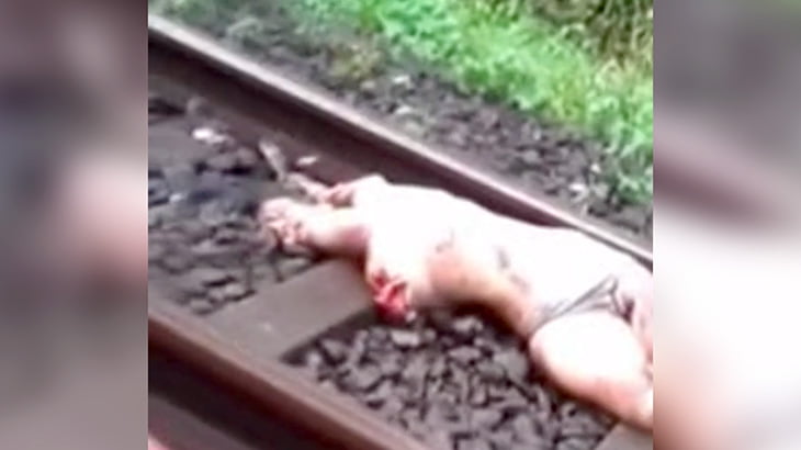 【閲覧注意】列車に轢かれた女性、怖すぎる姿になってしまったグロ動画・・・。 | カルマニマ（カルマニア）
