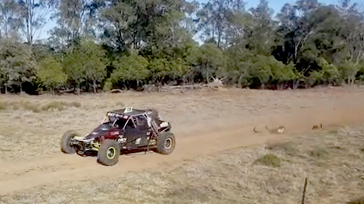 【衝撃映像】高速で走るバギーと衝突したカンガルー、一瞬で粉砕されてしまう･･･。
