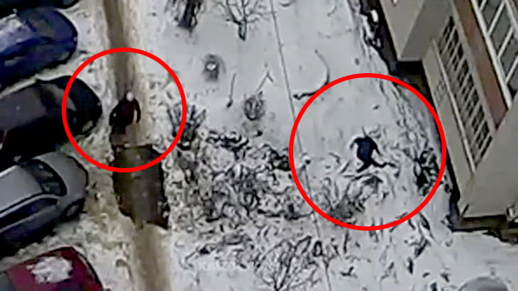 【衝撃映像】7階から飛び降り自殺した男。それに気付かず通り過ぎるお婆ちゃん。