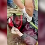 【閲覧注意】バイク事故で死亡した男性のヘルメットを外してみた結果･･･。