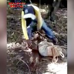 【閲覧注意】斬首された?が ?意識を失う瞬間? を捉えたグロ動画。