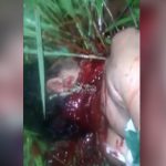 【閲覧注意】ナイフで切られた首から大量の血がドバドバ噴き出すグロ動画･･･。