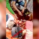 【閲覧注意】トラックに轢かれて死んだ友人の飛び出た脳を拾い集める男のグロ動画。