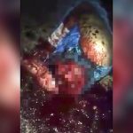 【閲覧注意】頭を銃で撃たれマチェーテで斬首される男のグロ動画。