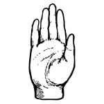 【閲覧注意】マチェーテで右手の指を切断されてしまう男のグロ動画。