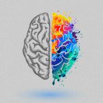 【閲覧注意】トラックのタイヤに潰され脳がまるごと外に飛び出てしまったグロ動画。