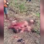 【超！閲覧注意】チェーンソーで人間の身体を細切れにするグロ動画･･･。