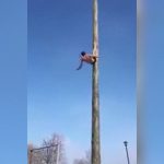 命綱なしの木登りコンテスト中、頭から落下してしまう男性。