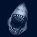 【閲覧注意】サメにチ●コを食いちぎられてしまった男性のグロ動画。