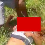 【閲覧注意】鎌で足と首を切断するブラジルのギャング。