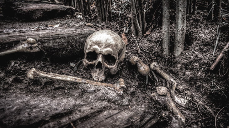 【閲覧注意】森の中で見つかった白骨化した死体を撮影したグロ動画。
