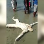【閲覧注意】真っ白になった男性の水死体。顔の肉だけ無くなっていたグロ動画。