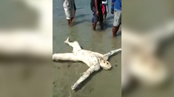 【閲覧注意】真っ白になった男性の水死体。顔の肉だけ無くなっていたグロ動画。