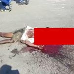 【閲覧注意】バスに轢かれた女性の身体、破裂して内臓が飛び出てしまったグロ動画。