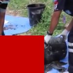 【閲覧注意】切断された上半身と下半身がバケツに詰められた状態で発見されたグロ動画。