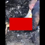 【閲覧注意】炎上した車内で黒焦げになってしまった人間のグロ動画。