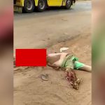 【閲覧注意】トラックに轢かれて性別すら分からない状態で死亡したグロ動画。