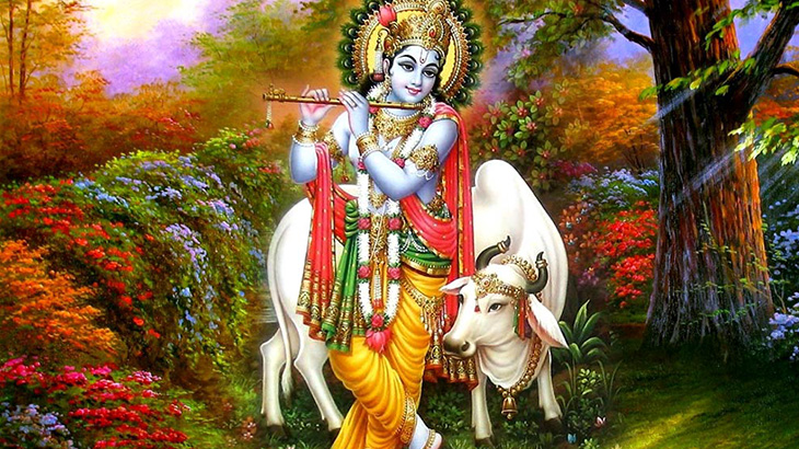 牛と衝突事故を起こす国、インド。