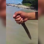 【閲覧注意】ビーチで女の子をナイフで刺し殺す女の子のグロ動画。