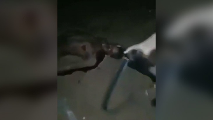 【閲覧注意】ライバルギャングの顔を必要以上に銃で撃ちまくって破壊するグロ動画。