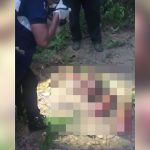 【閲覧注意】森の中で発見された男性のバラバラ死体。