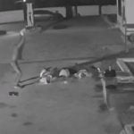 【衝撃映像】外で寝ていた男性、マチェーテで喉を切られて殺されてしまう･･･。