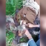 【閲覧注意】殺害した敵兵の首をナイフでゆっくり切断するグロ動画。