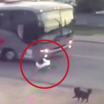 【閲覧注意】走行中のバスにダイブして自殺する男。