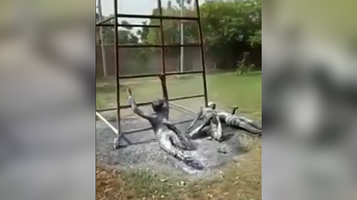 【閲覧注意】ハシゴを運んでいた3人の大学生、電線に触れて黒焦げになってしまったグロ動画。