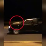 【衝撃映像】人をボンネットの上に乗せたまま轢き逃げしようとしたドライバー。