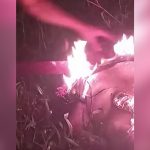 【閲覧注意】マチェーテで男性の首を切断して火を放つグロ動画。