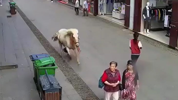 【衝撃映像】街なかを爆走する馬に轢かれてしまうお婆ちゃん。