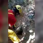 【閲覧注意】1ヶ月間行方不明だった18歳の女の子、森の中で頭を切断された状態で発見されたグロ動画。