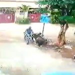 バイクに乗っていた男性、牛に瞬殺されてしまう映像。