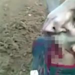 【閲覧注意】首を半分までナイフで切断されて殺されるグロ動画。
