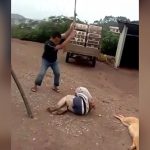 犬を盗もうとした男、罰として棒で叩かれまくる映像。