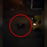 【衝撃映像】強盗しようとした男を車で何度も轢くタクシー運転手。