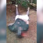 【閲覧注意】森の中でハゲタカに食われていた男性の死体映像。