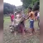 【閲覧注意】農業機械に巻き込まれて身体がよくわからない状態になってしまった男性のグロ動画。