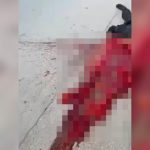 【閲覧注意】トラックに胴体を潰され、飛び出した心臓がドクンドクン動いているグロ動画。