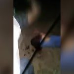 【閲覧注意】マチェーテで首を切断されて殺されるグロ動画2本。