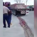 【閲覧注意】トラックのタイヤに数十メートル引きずられて死亡したグロ動画。