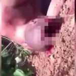 【閲覧注意】ショットガン1発で頭が割れて殺された男のグロ動画。